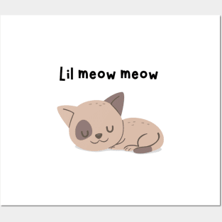 Lil meow meow Posters and Art